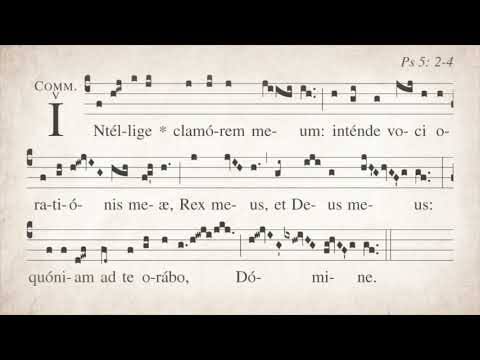 Dominca II Quadragesima: Communio   Intellige