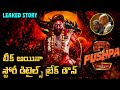 PUSHPA 2: THE RULE Movie Leaked Story Explained In Telugu