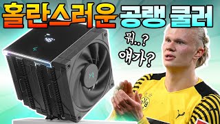퀘이사존