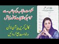 Chief Minister Of Punjab Help Line Phone Number CM Maryam Nawaz Helpline Number And Complaint Portal