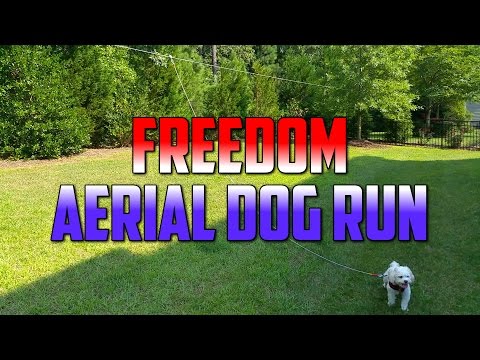 Cable aéreo para perros Freedom: revisión, configuración e instalación