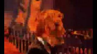 Blue System - Baby believe me