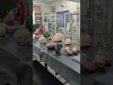 Santosh University Ghaziabad General video thumbnail 5