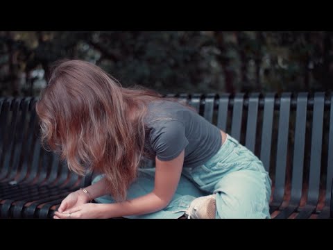 24HR DOG