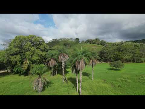 Finca Kosmos living Regenerative School in Guanacaste, Costa Rica
