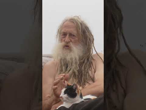 Kalium bei Cannabis Pflanzen ganze Folge ab Dezember