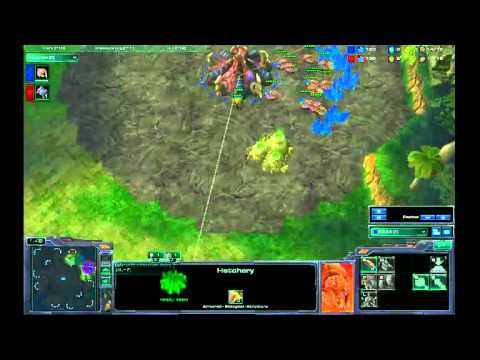 ASUS ROG Finals Idra vs Select G1