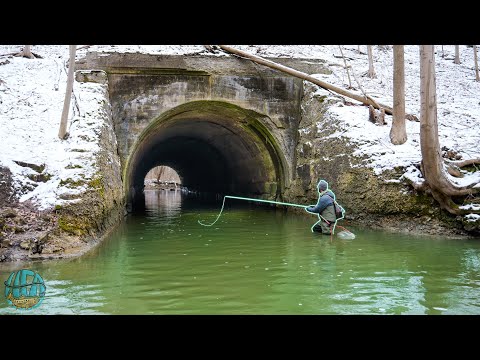 Fly fishing for my BIGGEST Fish of the Year! (3 Days fishing for Erie Steelhead and trout)