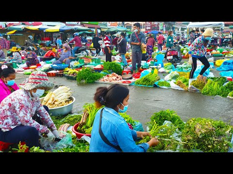 Plenty Of Fresh Vegetables, Fish, & Seafood For Sale - Amazing Food Tour And People Activities