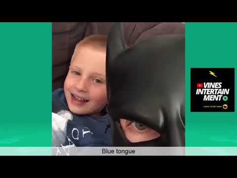 BatDad Vine compilation (w_ Titles) Funny Bat Dad Vines