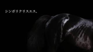 【天皇賞・秋】JRAのCM風〜シンボリクリスエス〜