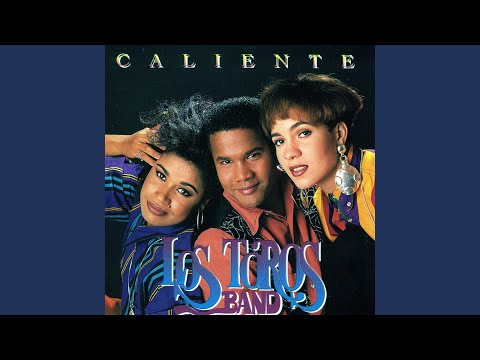 I Will Always Love You - Los Toros Band