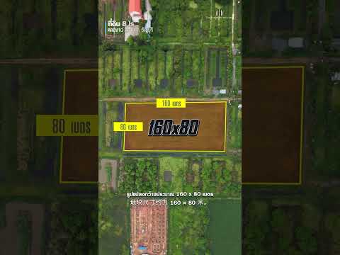 ใกล้วัดป่าเจริญราช ถนน 3009 ต.บึงทองหลาง อ.ลำลูกกา จังหวัดปทุมธานี, ปทุมธานี, บึงทองหลาง, ลำลูกกา, ปทุมธานี, 13,136 ตร.ม., ที่ดิน ขาย, โดย คุณจี, 500531212 - DDproperty.com