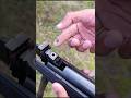 Airgun Shot Hunting Wild Birds Birdhunting Airgunhunters Airgun