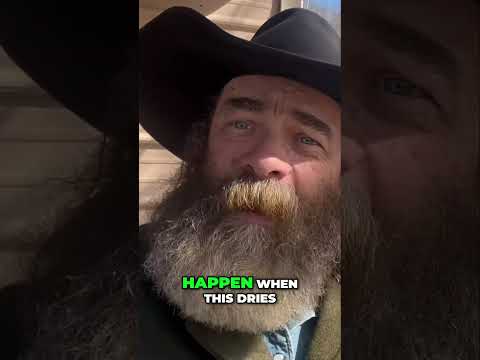 Septic Tanks Aren't Entertainment! Stop Wallowing in the Filth! #shorts #drycreekwrangler #fyp