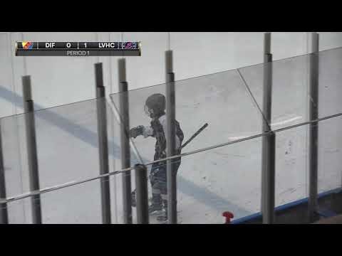 Seriematch mot Lidingö Vikings Team 06 - SHC U13 Grupp 3