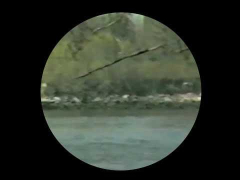 Arverne - Better (Official Music Video)