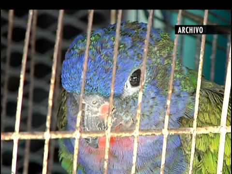 Resumen de noticias del domingo 05 de abril de 2015 [Noticias] - TeleMedellin