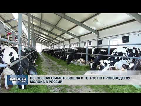 20.06.2018 # Регион вошел в топ-30 по производству молока в России 