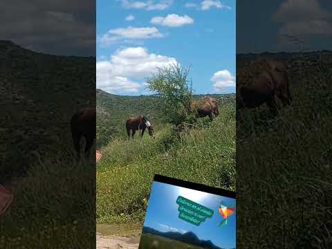 #merlosanluis #naturaleza #turismo #viajes #vacaciones #cordobaturismo #nono