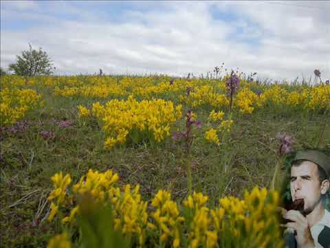 Ацо Марковић - Ацов вез