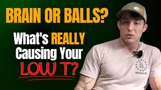 Primary Vs. Secondary Low Testosterone | Causes and Treatment Options - TRT, HCG, Enclomiphene