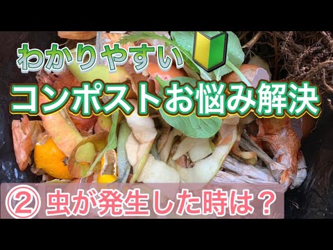 堆肥中の虫の出現を避ける 大きな白い土 コガネムシ 黄金の赤 赤