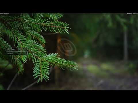 Linux Mint 20.2 Beta XFCE Run Through