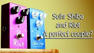 SUHR Riot Distortion and Shiba Overdrive - A perfect couple??