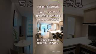 【上海ルームツアー】サービスレジデンスでの暮らし単身駐在員のお部屋を覗き見:長河国際公寓