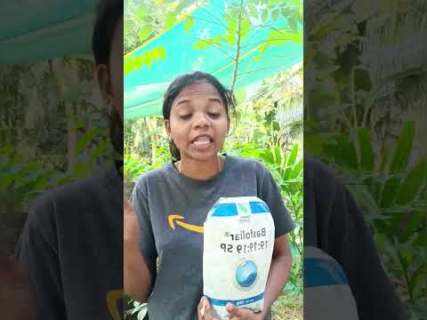 ഇരട്ടി വിളവ് കിട്ടാൻ n p k 19 19 19 |benefits of npk 19 19 19| #chitchatwithanu #shorts