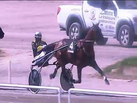 Trotto 14/04/2019 - 3ª corsa