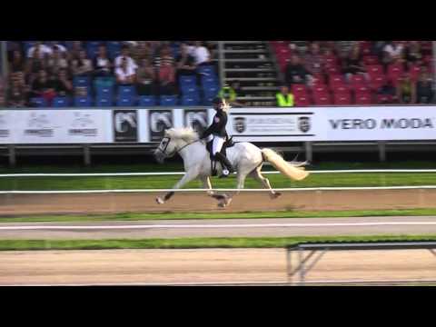 Frami von St  Oswald, WC15PP1