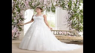 Roy Black --  Ganz in weiss