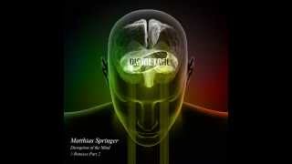 Matthias Springer - Disruption of the Mind Remixes Part 2