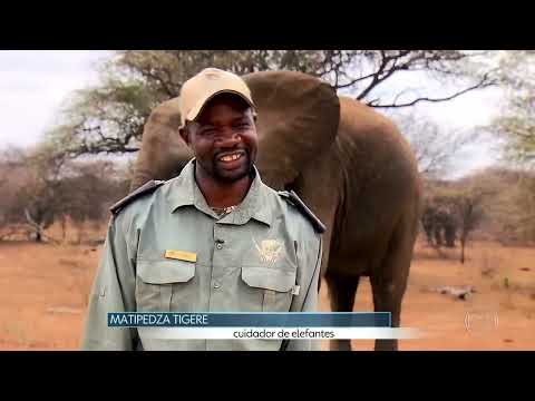 GLOBO REPÓRTER 14 12 2018 – África do Sul
