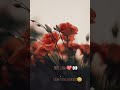 Kabhi To Paas Mere Aao Whatsapp Status Video