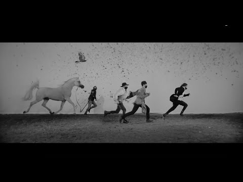 ⚜️ ARRAAB ALJASSIMYA ⚜️ (AL AYAL AA x OMEL AISHA ALJASSIMYA), 2017 Stallion