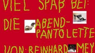 Reinhard Mey Die Abendpantolette