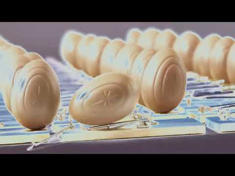 Cadbury's Creme Egg - Here Today, Goo Tomorrow 2008, UK Effects | Preview 2 Effects