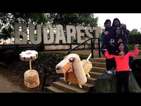 Hokun Video Blog - Q3/2017