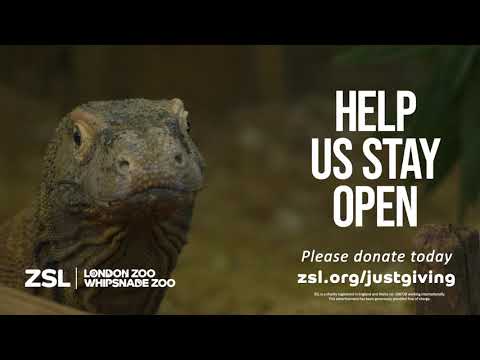 Comedians join Sir David Attenborough to save ZSL's Zoos