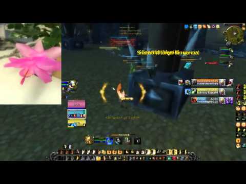 Arcane RMpala VS Graycen 2800+ RMD 2600+mmr