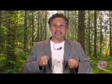 Eneagrama Inicial - Quem é o Tipo (Raio) 1?  - Nicolai Cursino