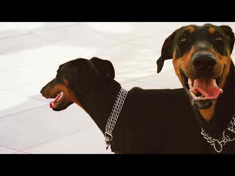 Overmono - Skulled (Audio)