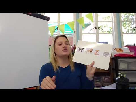 Grade R English 8 -12 June Visual memory with 4 pictures