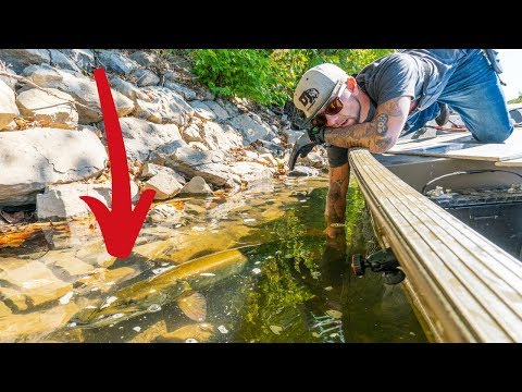State Record Musky Hunt || Chasing The BIGGEST Fish We Can Find