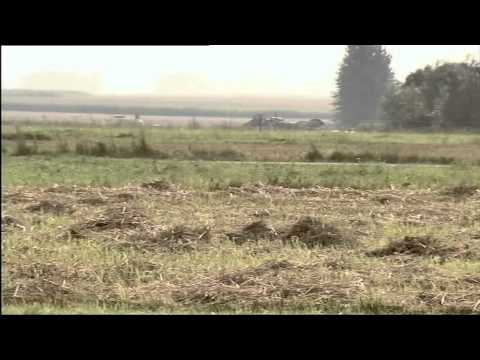 Wrzesień 1939 7/19 - Sojusznicy