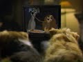 Disney S Lady The Tramp 1998 Television Commercial