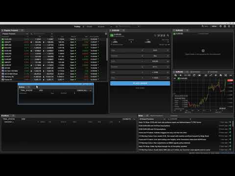 Setting Up the Work Space in ELANA Global Trader Part 1